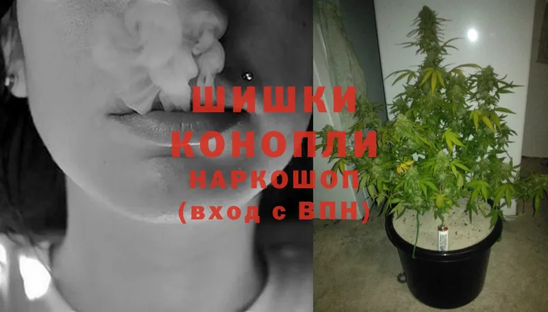 shop наркотические препараты  Кораблино  Конопля Ganja 